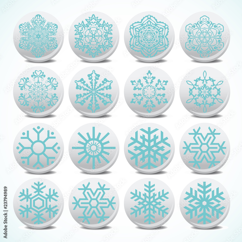 Snowflake set vector button