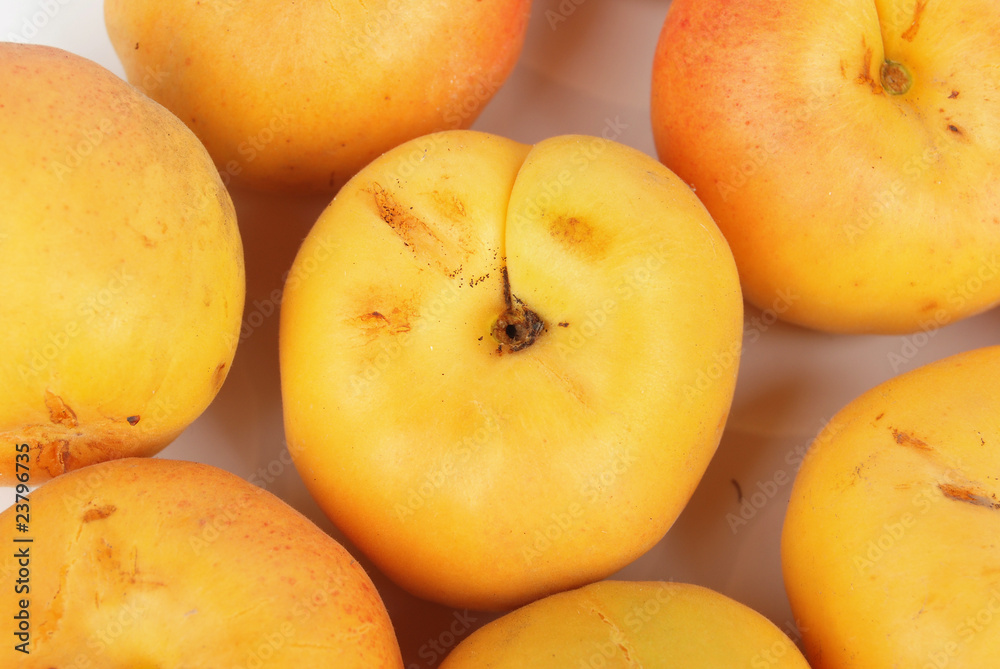 apricot apricot