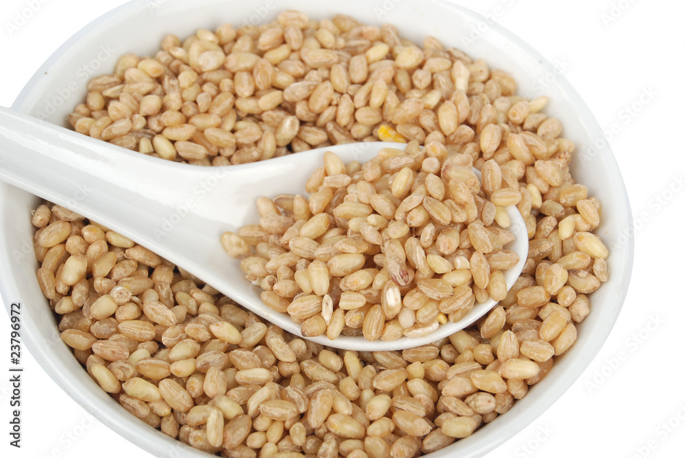 wheat seeds in bowl wheat seeds in bowl