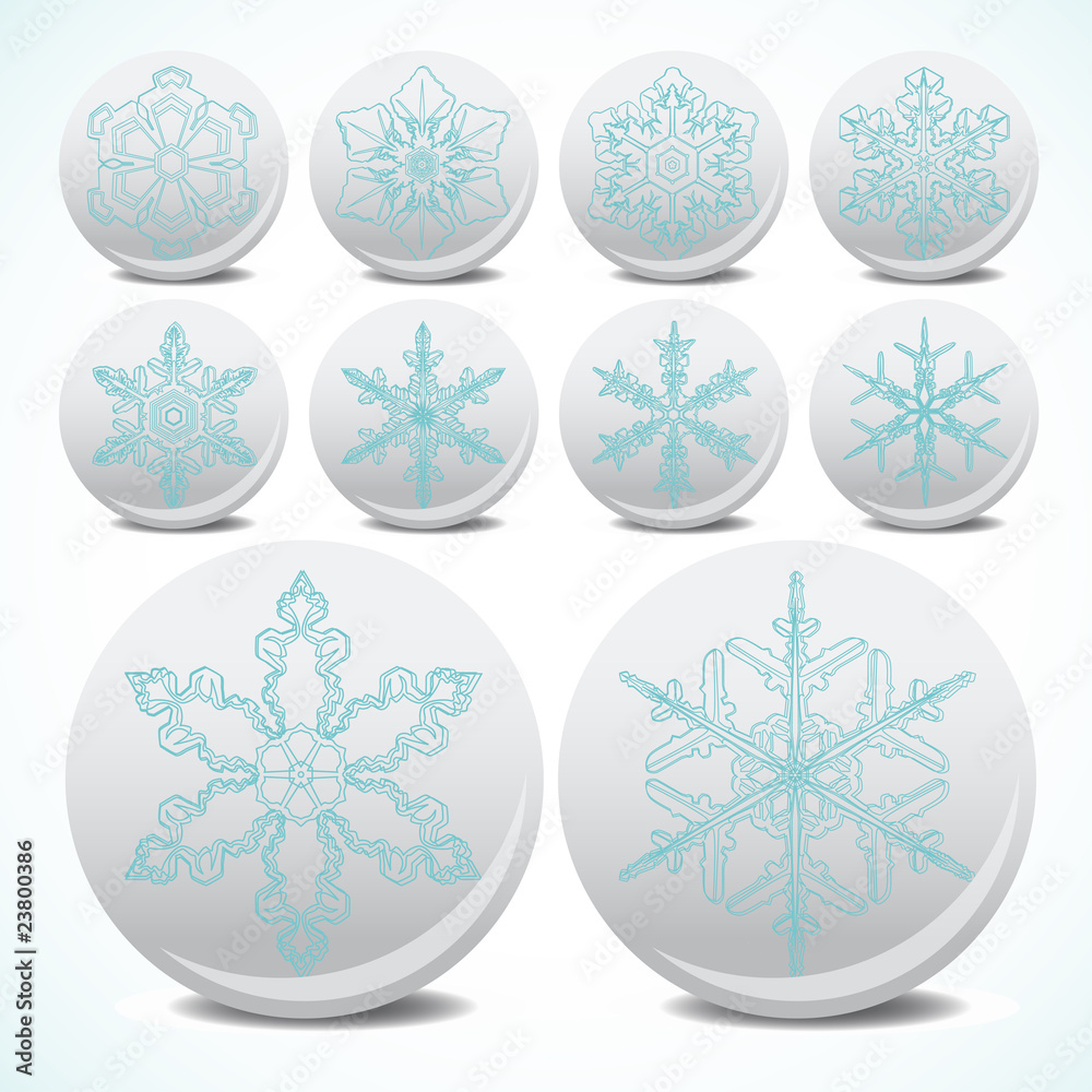 Snowflake set vector button Snowflake set vector button