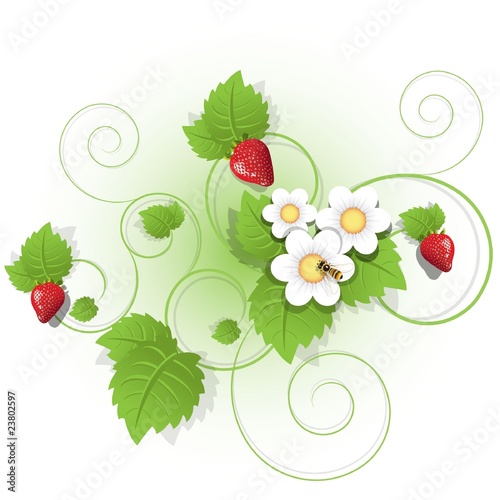 strawberry