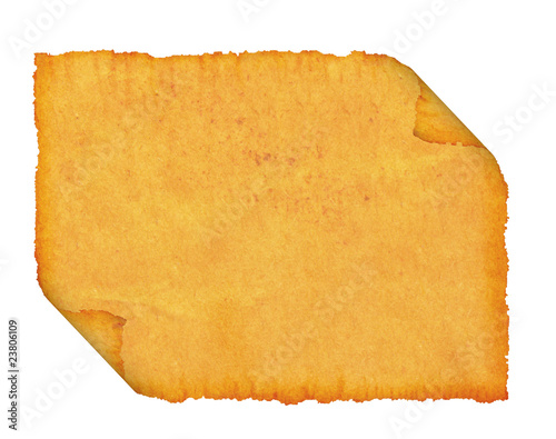 Blank. An old  papyrus.