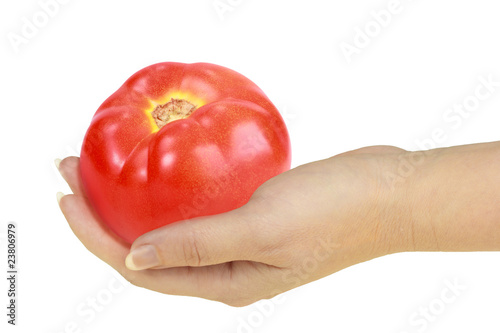 Tomato in a hand