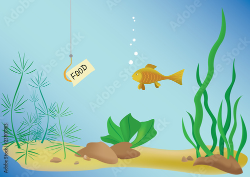 vector illustration with fish and sea