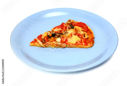 slice of pizza on a dish