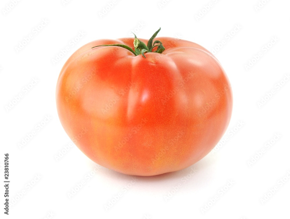 Frisch aus dem Garten Frisch aus dem Garten