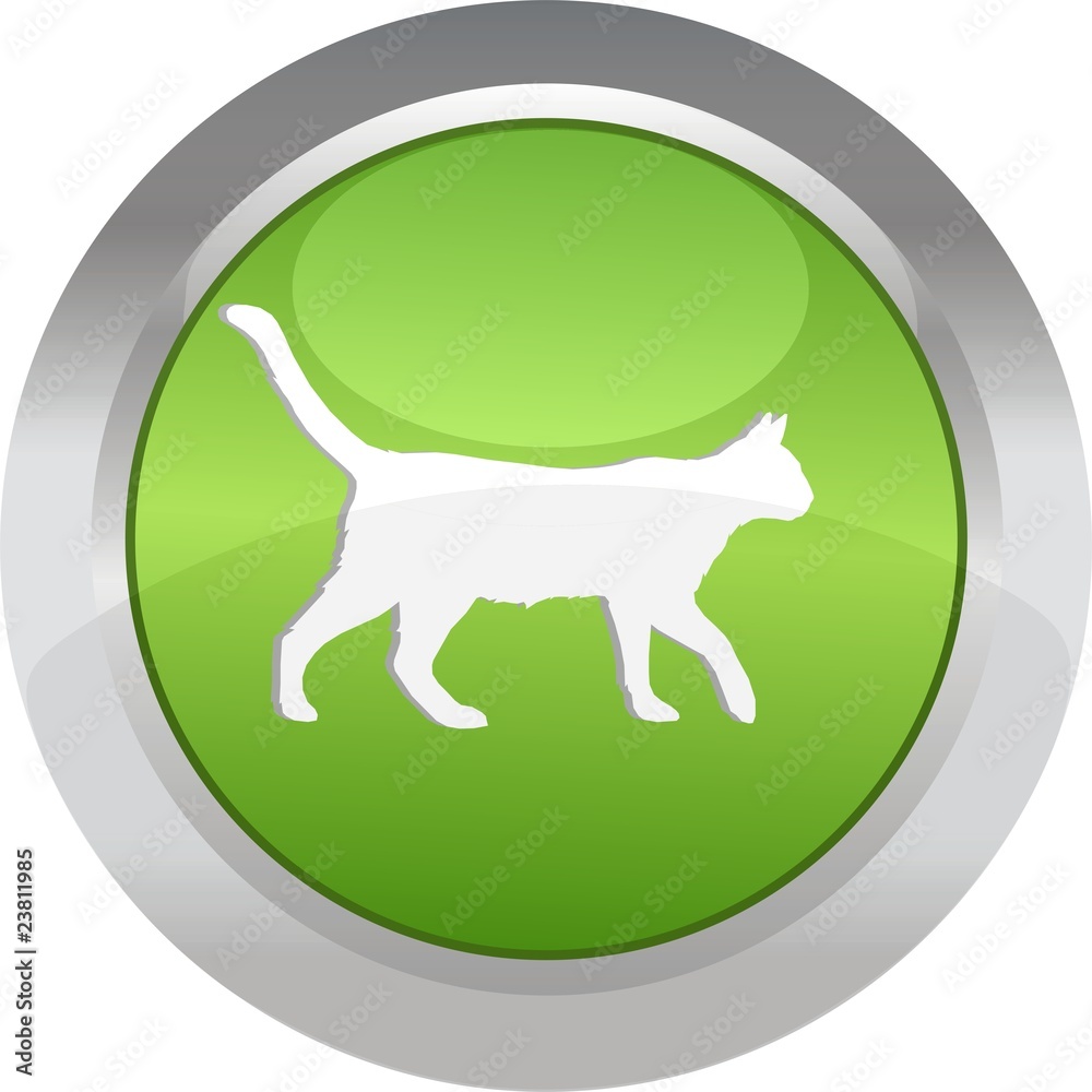 bouton chat bouton chat