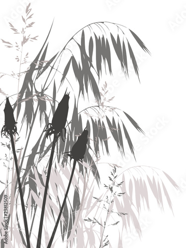 background with grass and flowers
