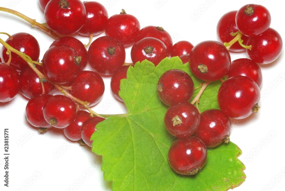 Fruits rouges Fruits rouges