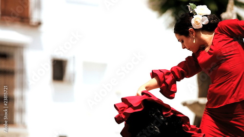 Spanish Flamenco Dancers