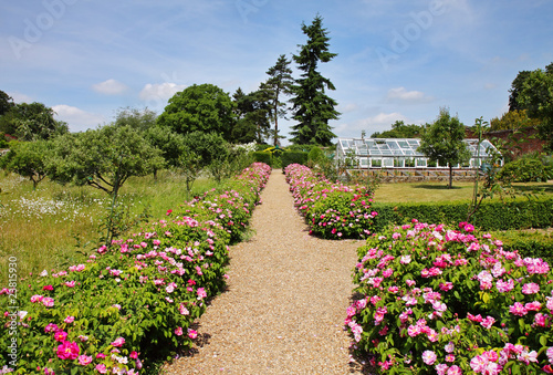 Formal English Garden with Flower strewn Path
