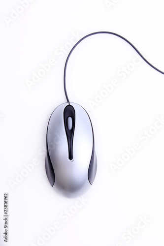 Mouse photo