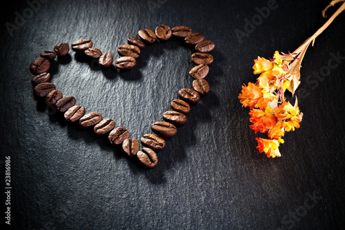 heart shape coffee beans © Mihai Simonia