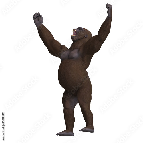 gorilla won the fight. 3D rendering with clipping path and shado photo