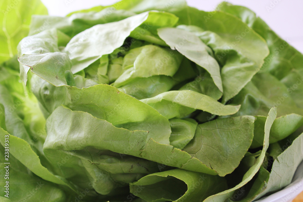 kopfsalat