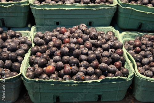 Blueberry basket at Granville Island food market in Vancouver photo