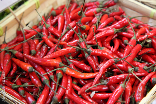 Red chili peppers sold at a food market