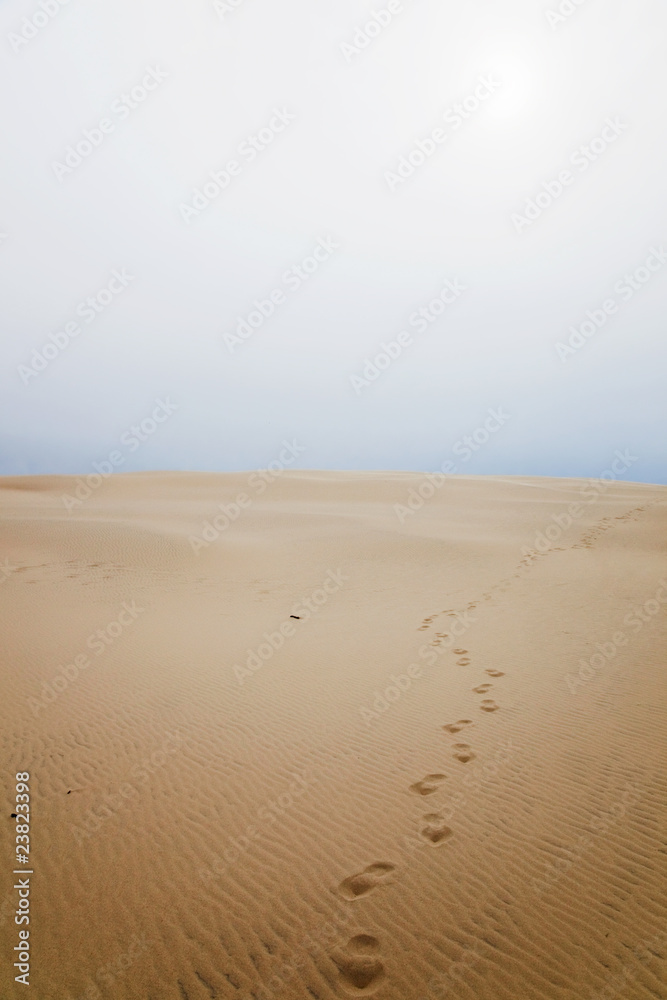 Footprints in sand dune Footprints in sand dune