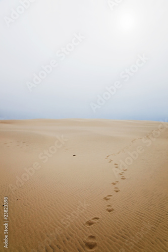 Footprints in sand dune