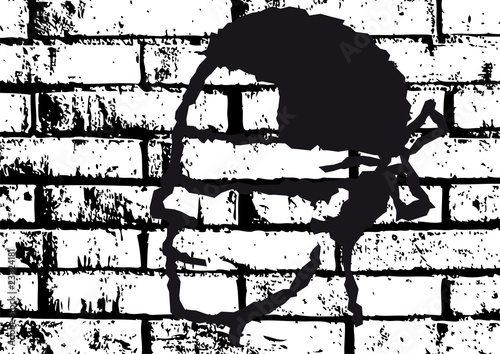 volto sul muro