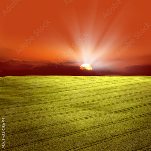 an image of sunset and the fields