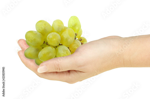 Green grape in a hand of woman