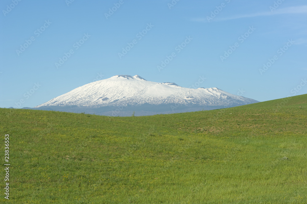 Fototapeta premium Green Grass And Mount Etna