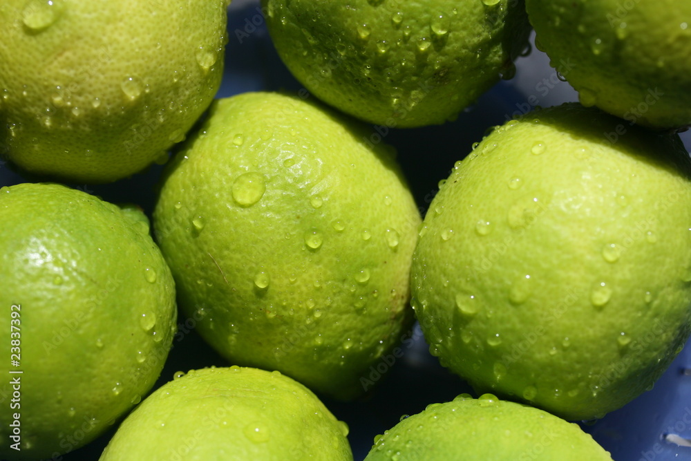 Limetten aus biologischem Anbau Limetten aus biologischem Anbau