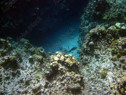 Schnorcheln an einem Riff vor Cayman Islands