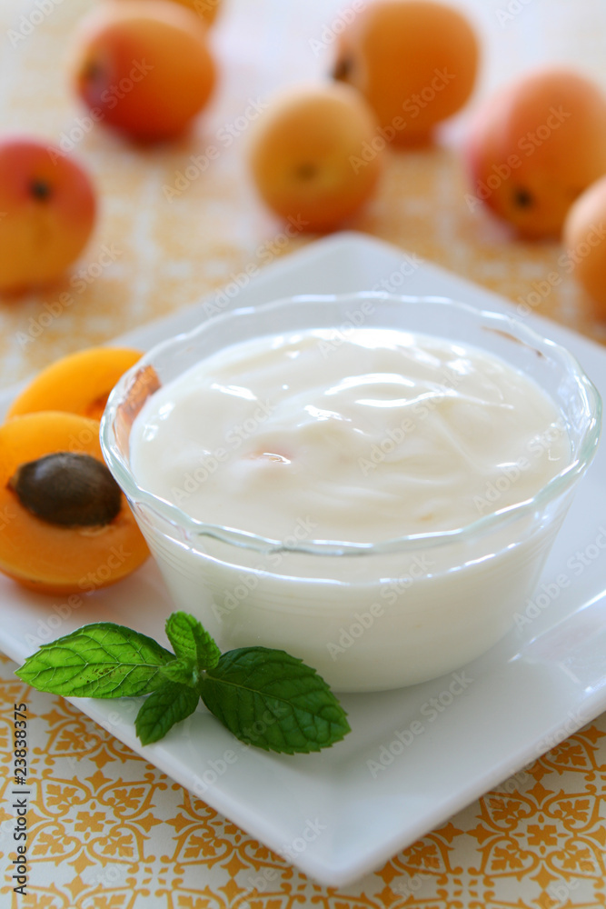 Apricot Yogurt Apricot Yogurt