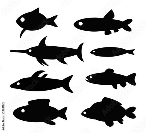 peces