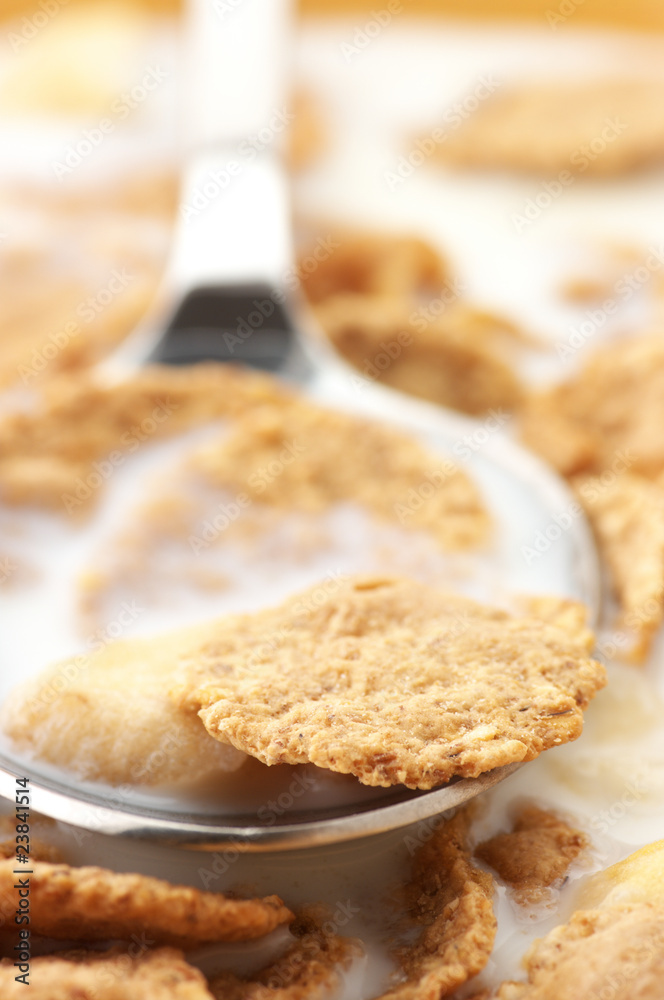 Breakfast cereal with milk close-up