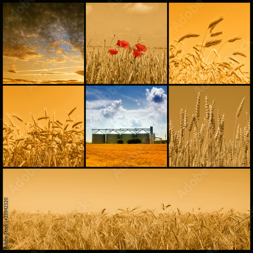 Agriculture