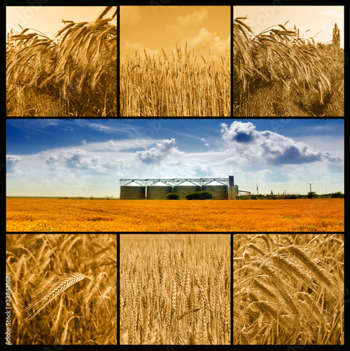 Agriculture