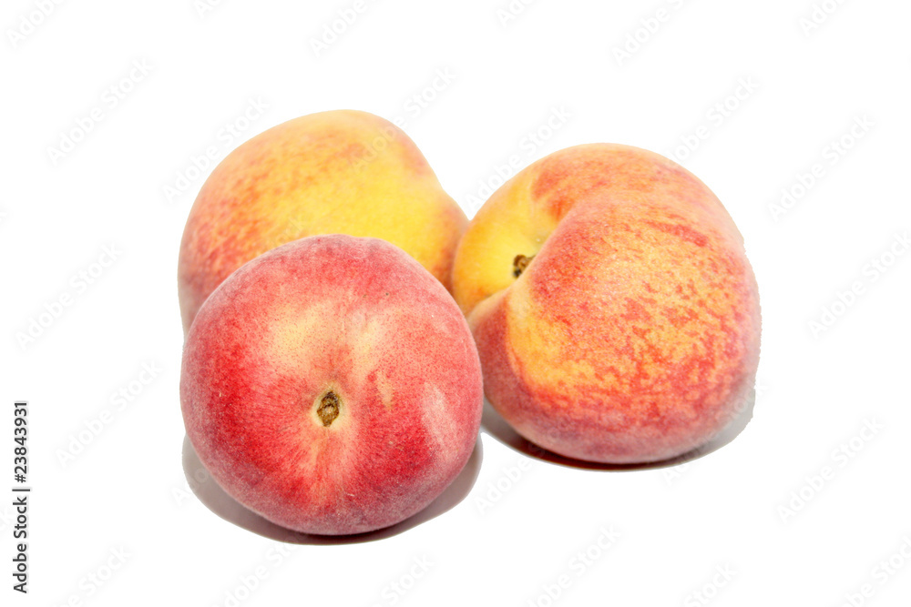 pêche pêche