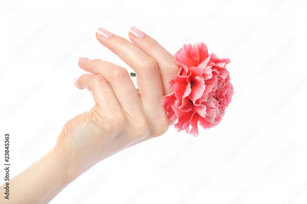 Beautiful hand with perfect french manicure on treated nails Beautiful hand with perfect french manicure on treated nails