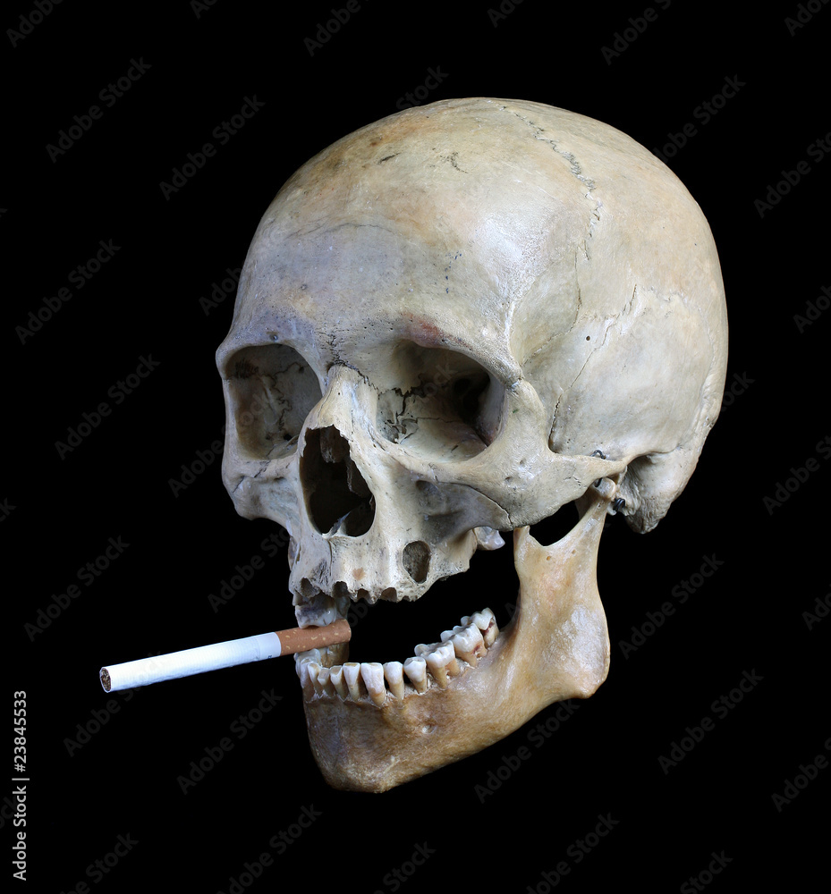 Obraz premium Skull with a cigarette.