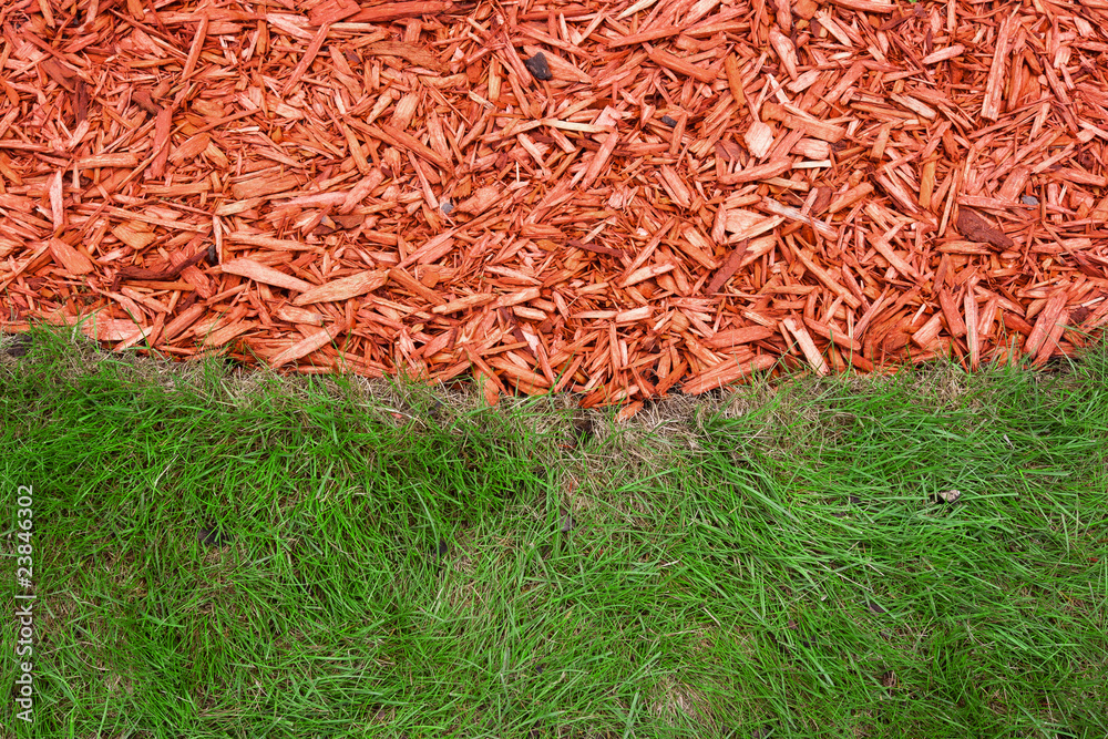 Grass and mulch
