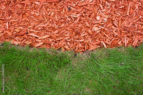 Obraz na płótnie Grass and mulch w salonie