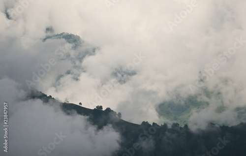 alpine peaks in fog