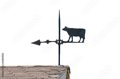 Bild auf Leinwand Weathercock