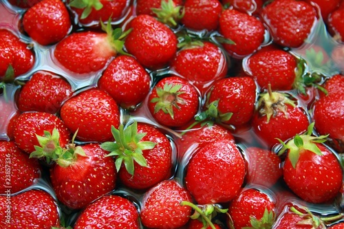 bunch of strawberries in water
