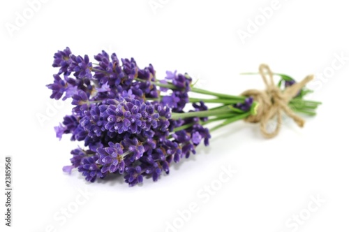 Aroma  Lavendel