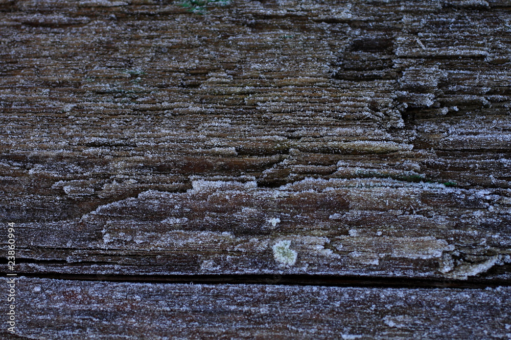 legno Stock Photo Adobe Stock