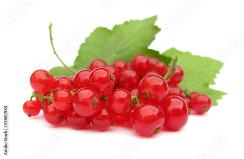 Photo Currant red redcurrant