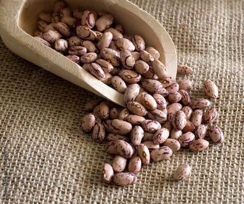 fagioli borlotti photo