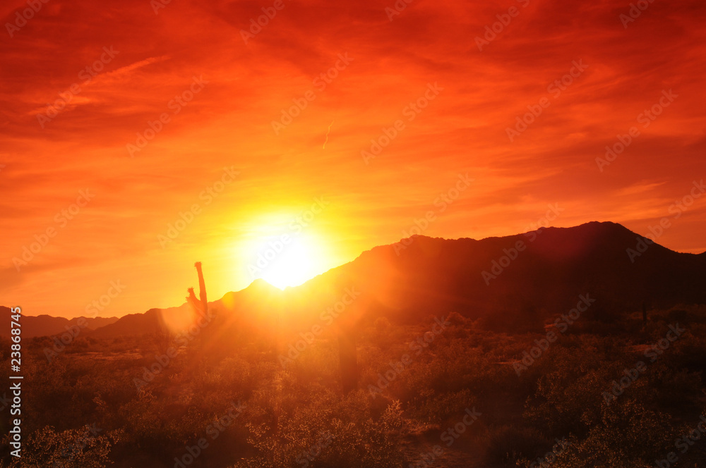 Obraz premium Arizona Sunset