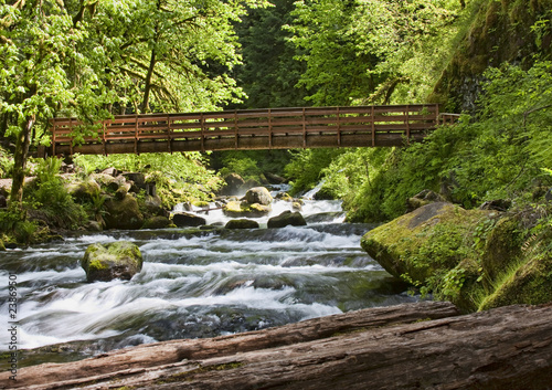 Ainsworth Hiking Trail in Oregon  USA.