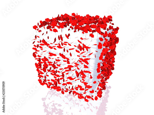 cube coquelicots