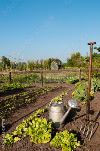 garden tools